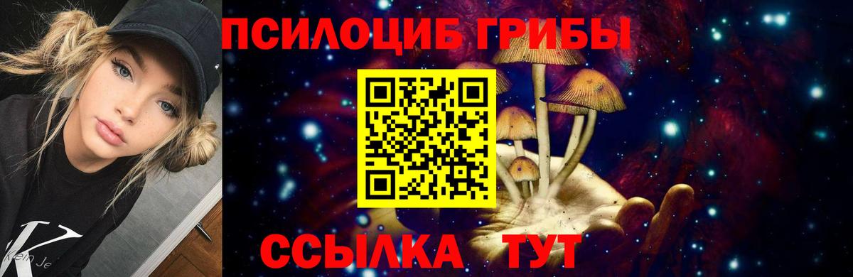 Сызрань  Псилоцибиновые грибы мицелий  Вход с VPN  Псилоцибиновые грибы Cubensis 